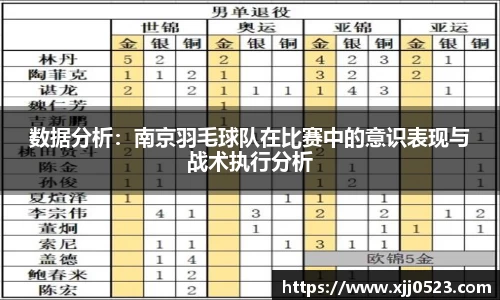 数据分析：南京羽毛球队在比赛中的意识表现与战术执行分析